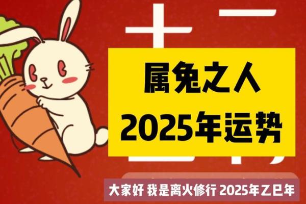 2025年属兔人的全年运势详解(2025年属兔人的全年运势详解99年)
