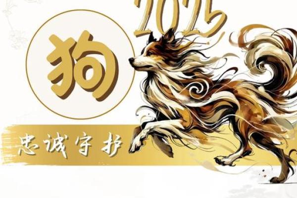 2025年属狗多少岁(2025年属狗多少岁1982.4.25月是多少岁)