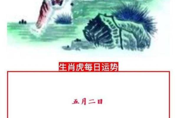 属虎人2025年运势(1986年属虎人2025年运势)