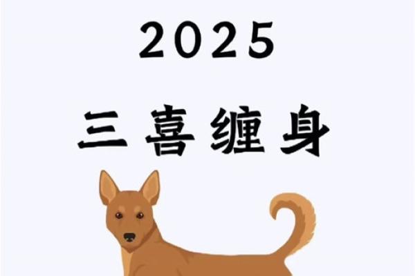 2025年属狗人全年运势1982(2025年属狗人全年运势1982女)
