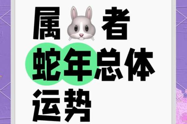 1975属兔2025年财运(75年属兔人的运势)