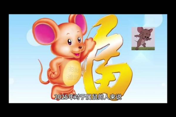 属鼠女今天打麻将财运怎么样(属鼠女今天打麻将财运怎么样20251月1日)