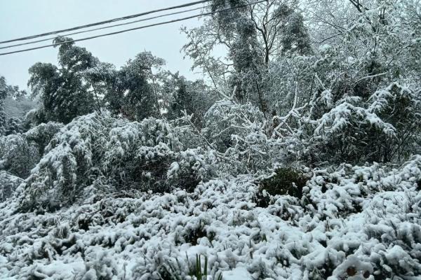 梦见夏天下雪