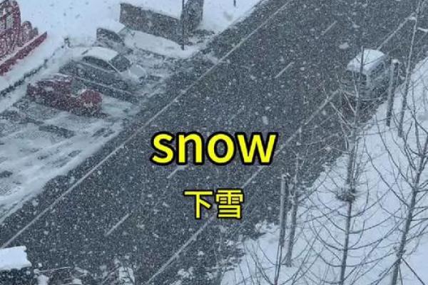 梦见夏天下雪