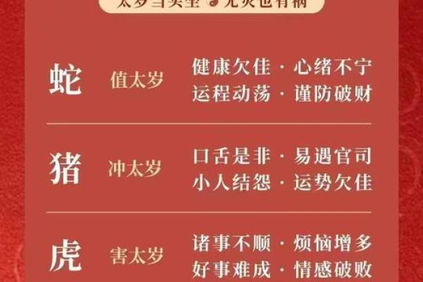 属蛇人2025年运势完整版(属蛇人2025年运势完整版65年)
