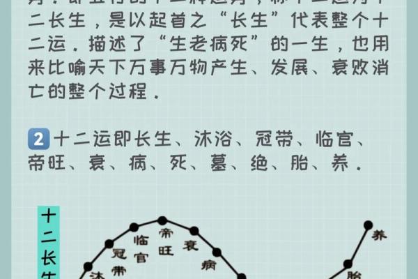 长生在八字里面代表什么(长生在八字里面代表什么,为什么算命的说长生运不好)