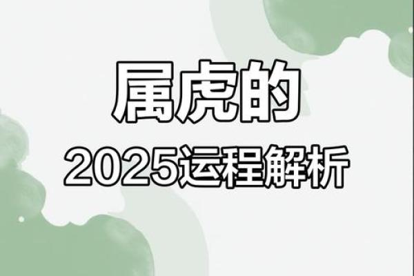 属虎2025年运势(1986年属虎2025年运势)