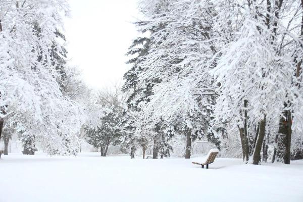 做梦下雪了是什么征兆