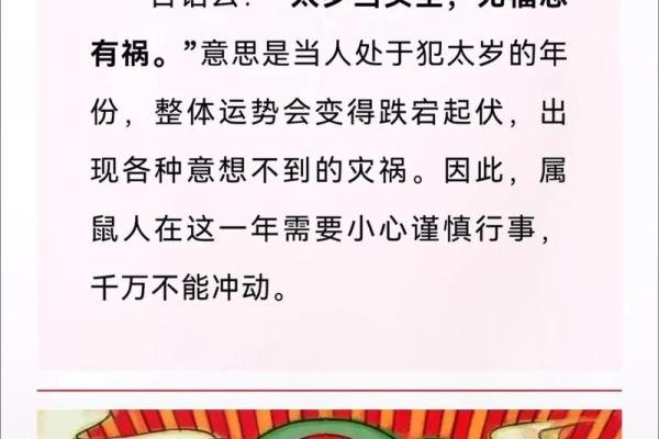 属鼠的人2025年运势及运程(属鼠的人2025年运势及运程详解吉祥方位)