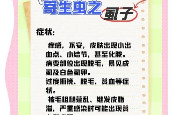 梦见狗身上有很多虱子