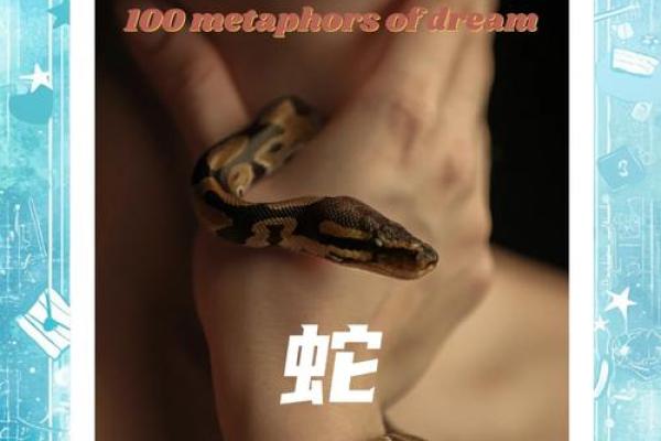 梦到抓住蛇