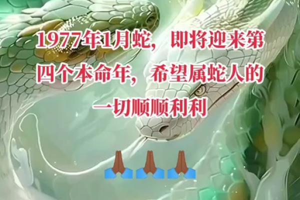 1990年属蛇2025年运势如何(1977年属蛇2025运程)