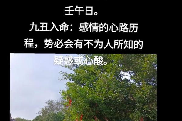 九丑在八字中代表什么意思(九丑在八字中代表什么意思女命)
