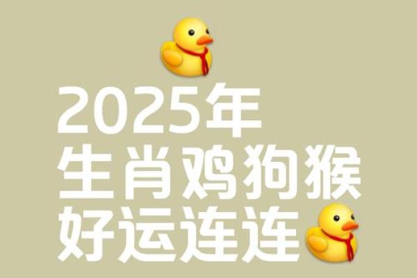 1969年属鸡人2025年运势及运程(1969年属鸡人2025年运势及运程女)
