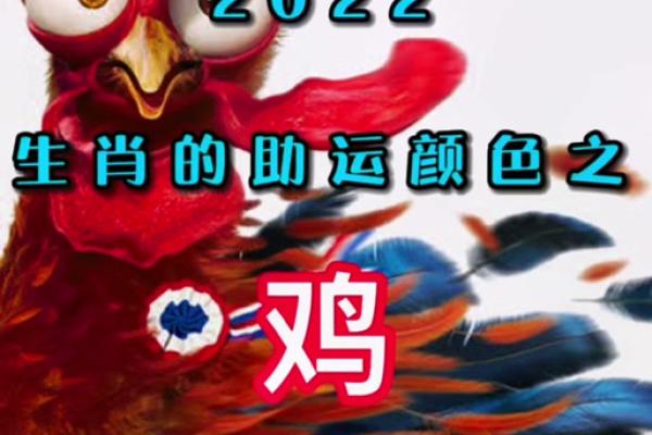 69年属鸡男2025每个月运气(69年属鸡人在2024年的全年运势)
