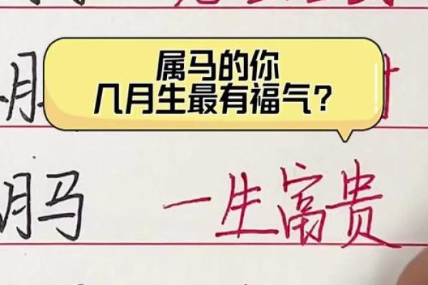 2025年属马的几岁(2014属马的人是什么命)