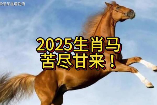 78年属马2025年运势如何(2025属马人全年运势如何1978)