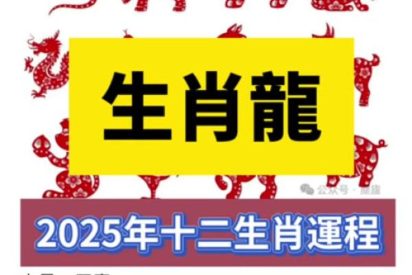 2025年属龙运势(2025年属龙运势)