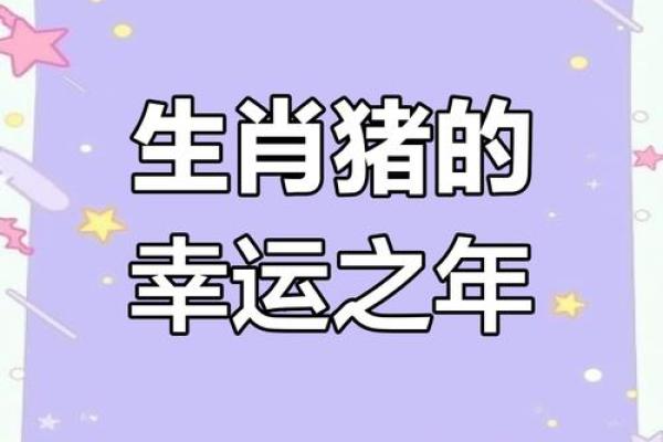 属猪今年运势2025年运势如何(属猪的人今年运势如何)