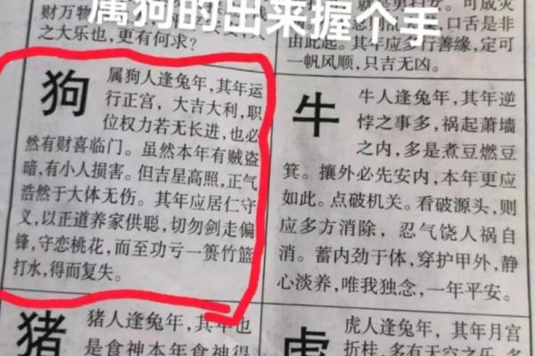 06年属狗2025年多大了(06年属狗的今年多大了)