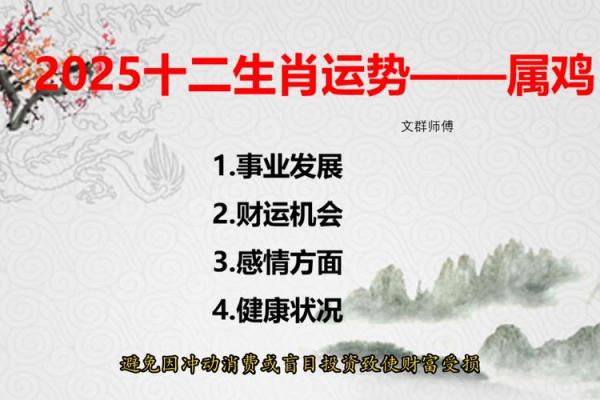2025年生肖鸡的财运(2025年生肖鸡财运查询)