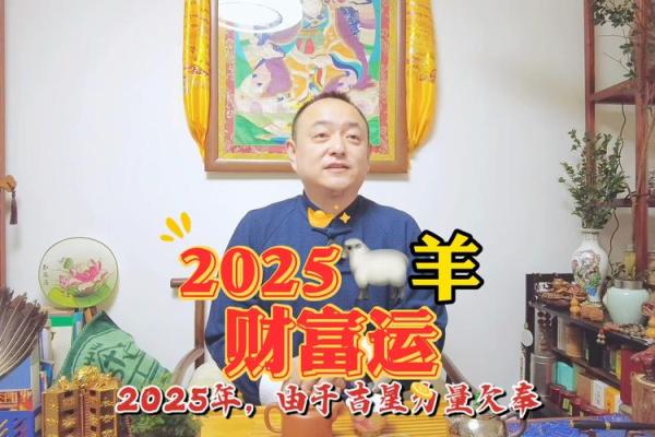 79年属羊男在2025年的运势和财运(79年属羊男在2025年的运势和财运如何)