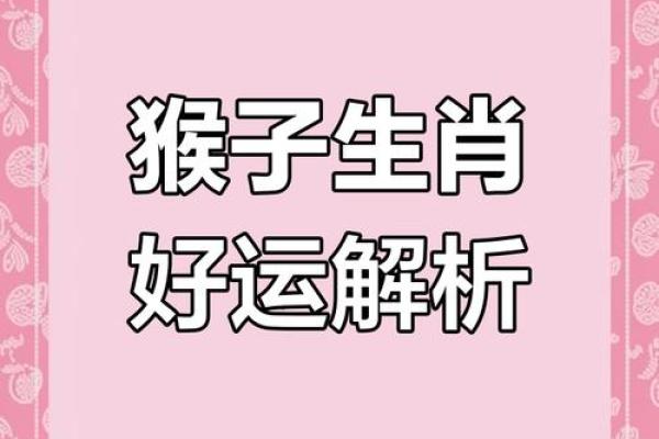 1980属猴女2025每月运势财运(1980属猴2025每月运势财运女)