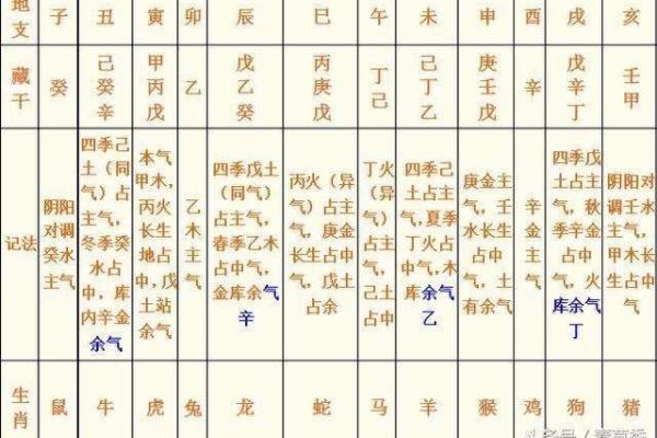 支神在八字中代表什么意思(十神在四柱干支的意义和详解)