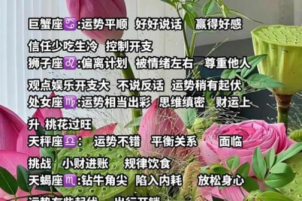 第一星座每日运势(第一星座每日运势查询)