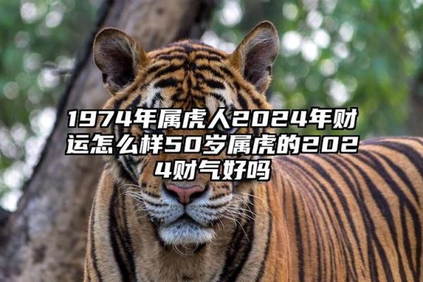 74年男虎2025年运势完整版(74年属虎男202年运势及运程每月运程五月运气)
