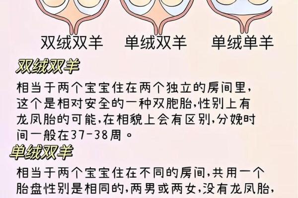 梦到自己生双胞胎儿子是什么意思