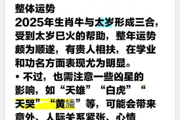 属牛今日下午偏财运(属牛的今日财运在什么方位)