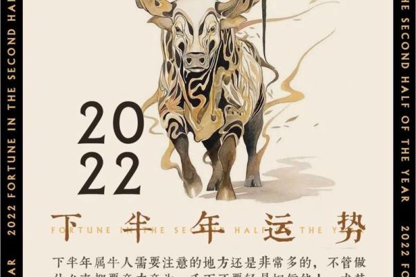 属牛今日下午偏财运(属牛的今日财运在什么方位)
