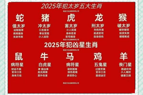 属马的2025年多大了(属马的今年多大岁数)
