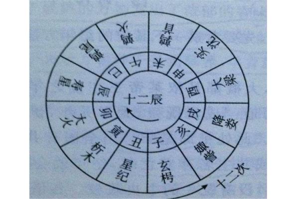 孤辰在八字中代表什么(孤辰在八字中代表什么意思女命)