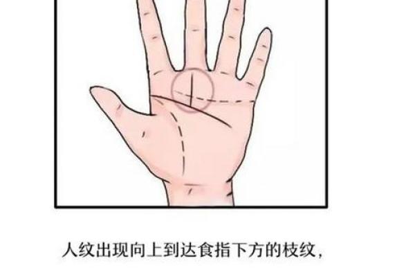 三丘在八字中代表什么意思(三丘在八字中代表什么意思)