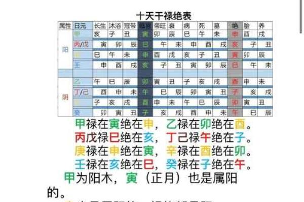 八字基础知识必背(八字基础知识入门图解)
