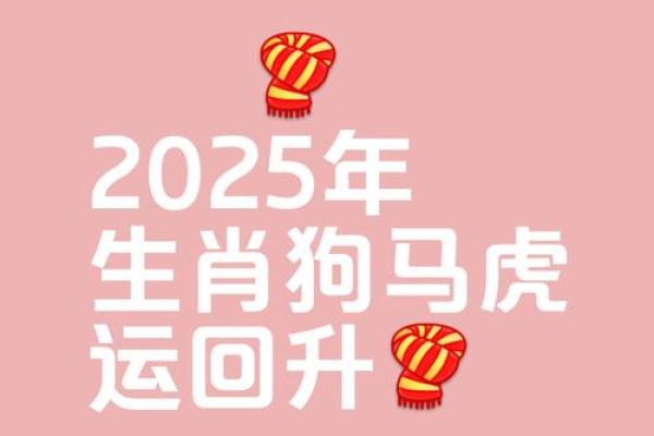 属狗今年运势2025年运势如何(属狗运势2025年运势详解)