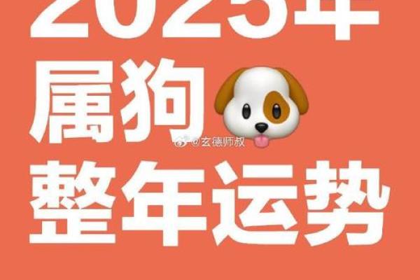 属狗今年运势2025年运势如何(属狗运势2025年运势详解)