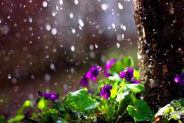 女人梦到刮风下雨