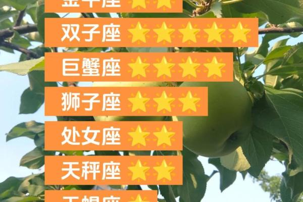 今日处女座运势查询(双子座今日运势)