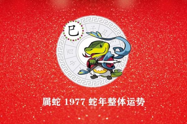 77年属蛇2025年运势及运程(77年属蛇2025年运势及运程逐月分析)