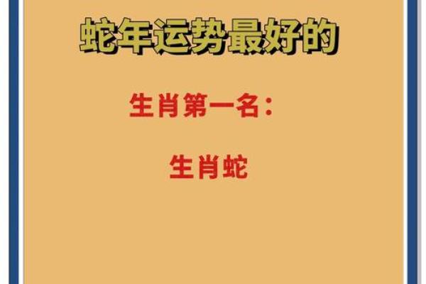 属蛇2025年运势(2025年蛇年运势)