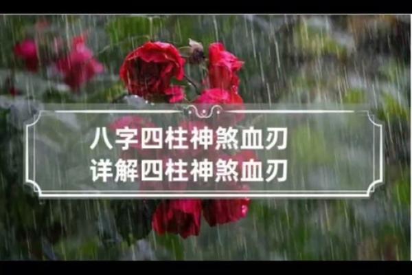 血刃在八字中代表什么意思(血刃在八字中代表什么意思)