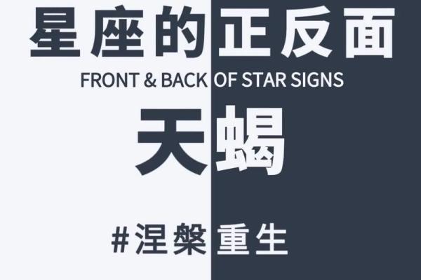 天蝎座今日运势第一星座2025(天蝎座今日运势第一星座2025年)