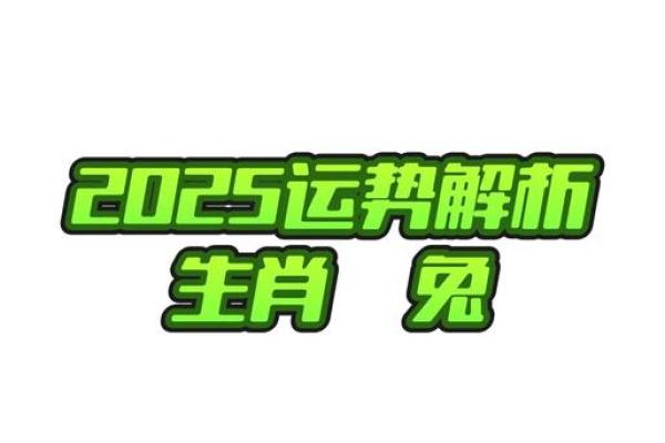 2025年属兔人全年运势完整版(2025年属兔人全年运势完整版1999)
