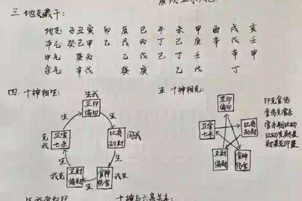 天罗在八字中代表什么意思(十恶大败在八字中代表什么意思)