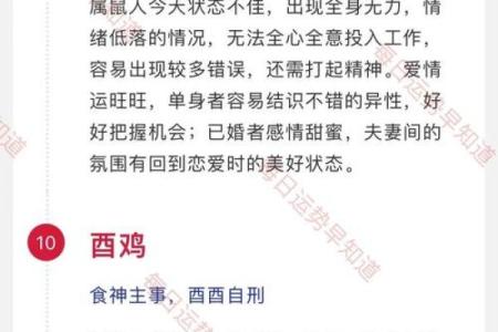 属马今年运势2025年运势如何(78年马什么时候能走大运)