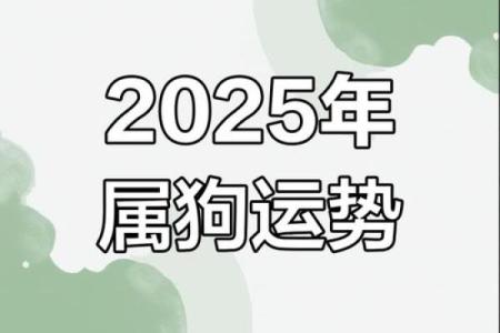 1970年属狗女2025年运势及运程(1970年属狗女2025年运势及运程)