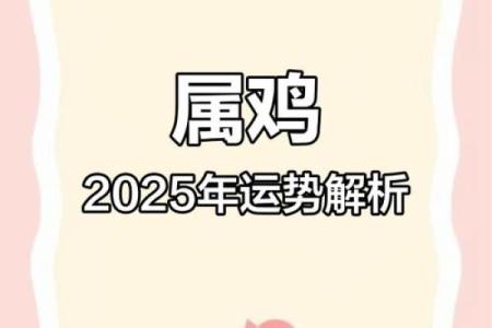 2025年属鸡的多少岁(2025年属鸡的多大岁数了)